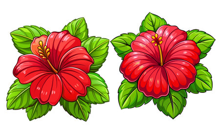 bright large red hibiscus flower and leaf isolated on white background,Vector image of bright color sketch abstract flowersのイラスト素材