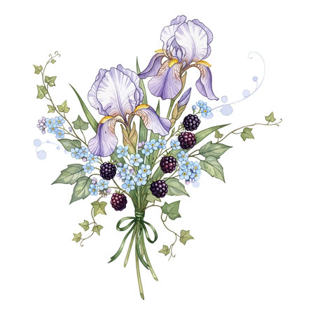 Beautiful bouquet of irises, blackberries and blueberries. Vector illustration.のイラスト素材