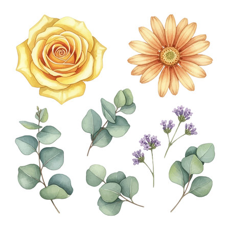 Set of watercolor flowers, eucalyptus, yellow rose, eucalyptus. Vector illustrationのイラスト素材
