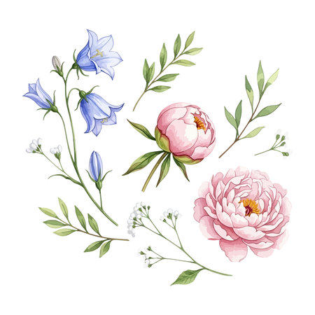 Beautiful vector hand drawn watercolor illustration of peony flowers.のイラスト素材