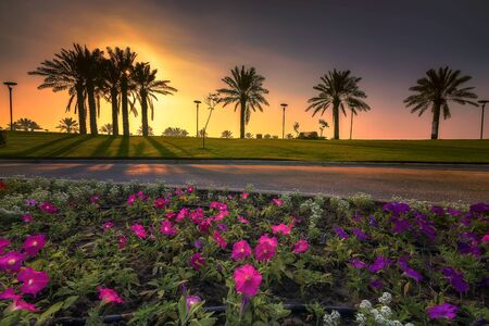 morning drama sunrise view in Modon lake Dammam Saudi Arabia
