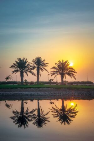 morning drama sunrise view in Modon lake Dammam Saudi Arabiaの写真素材