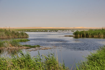 Landscape of the river in the steppe on a sunny dayの写真素材