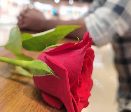 Red rose flower on tableの写真素材