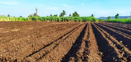 Plough furrow land perspective horizonの写真素材