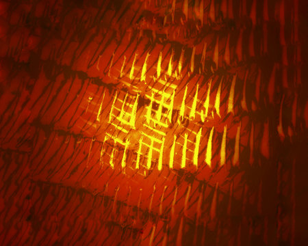 Abstract orange background with some smooth lines in itの写真素材