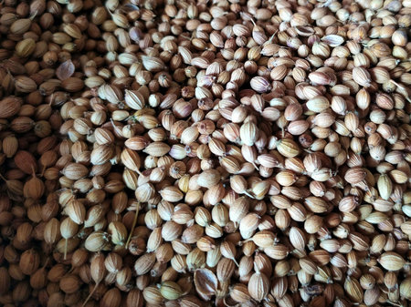 Coriander seeds on a market stall. Close-up.の写真素材