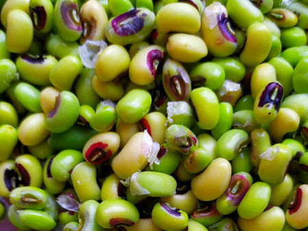 Close up of green peas in a market in the Netherlands.の写真素材