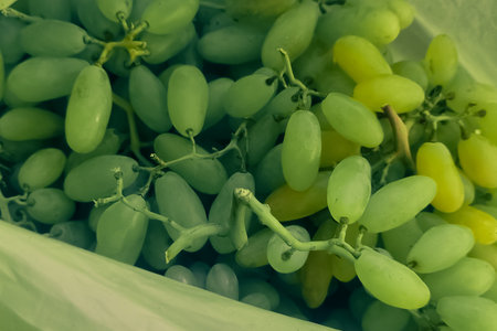 Best ripened green sugary grapes in plastic bagの写真素材
