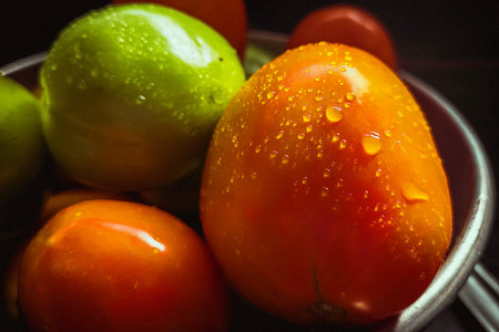 Group of red ripened tomatoes in bowl with splashed waterdropsの写真素材