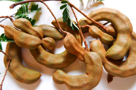 a top shot of fresh tamarind bunch isolated on white backgroundの写真素材