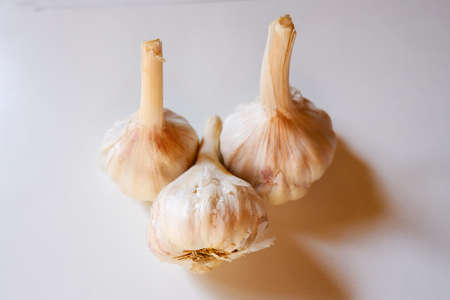 a top shot of garlic isolated on white background
