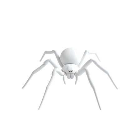 White spider on a white background. 3d rendering, 3d illustration.の素材