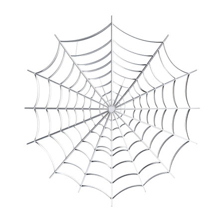 Spider web isolated on white background. Vector illustration. Eps 10.の素材