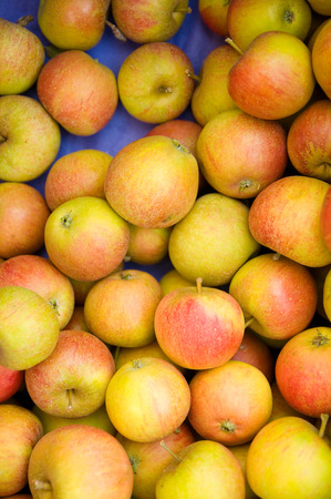 Top view of Freshly harvested red and yellow apples in a boxの写真素材