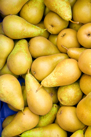 Top view of Freshly picked yellow pears in a box - sweet and juicyの写真素材