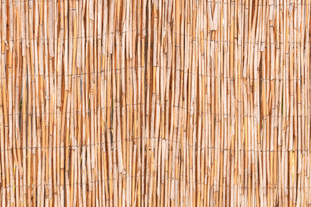 Reed mat in close up for background or texture; Visual protection made of natural materials;