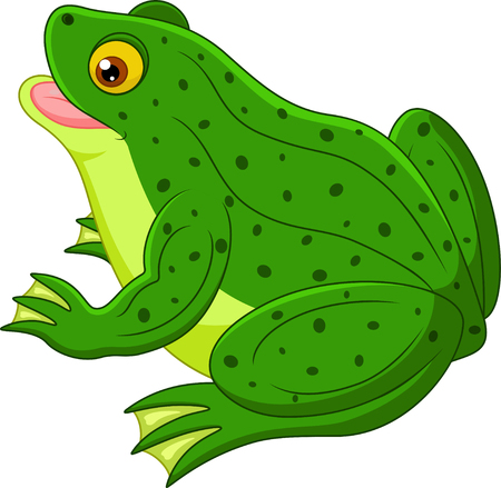 Frog cartoonのイラスト素材