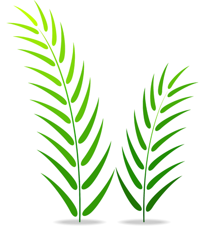 Green plant on a white backgroundのイラスト素材