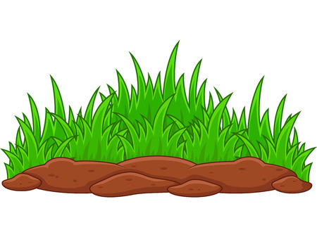 Green plant on a white backgroundのイラスト素材