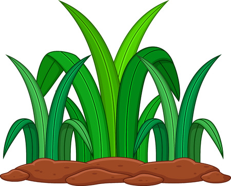 Green plant on a white backgroundのイラスト素材