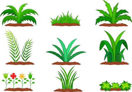 Set of green plant on a white backgroundのイラスト素材
