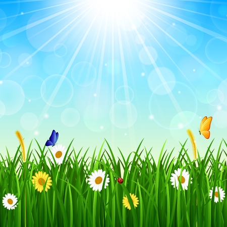 Nature background with green grass, blue sky and bright sunのイラスト素材