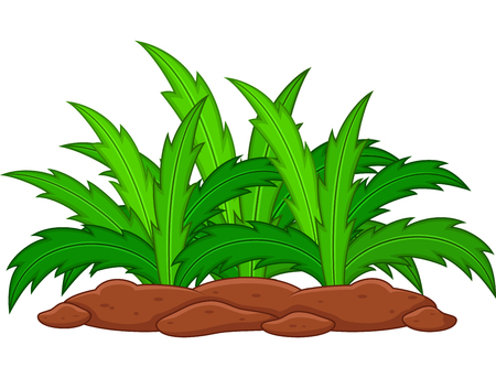 Green plant on a white backgroundの写真素材