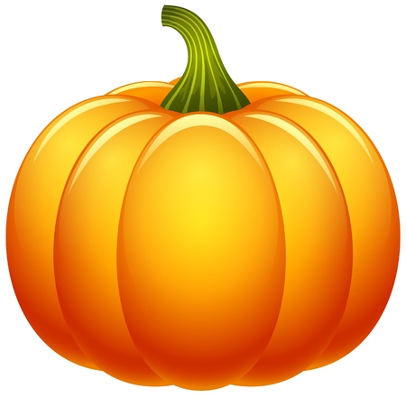 Pumpkin isolated on white backgroundの写真素材