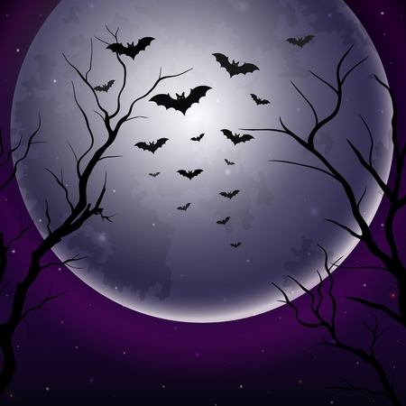 Halloween night sky background with tree silhouettes and moonの写真素材
