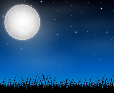 Night sky landscape with silhouette grass and stars on the full moonの写真素材