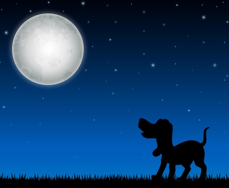 Silhouette of a dog standing on the night background with full moonの写真素材