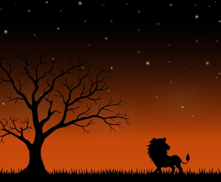 Silhouette of a lion standing on the night backgroundの写真素材