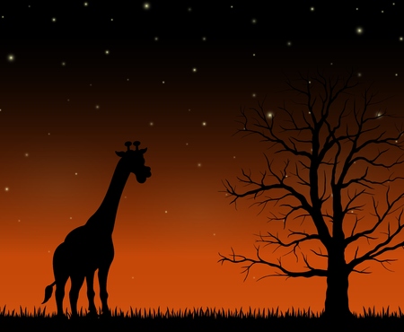 Silhouette of a giraffe standing on the night backgroundの写真素材
