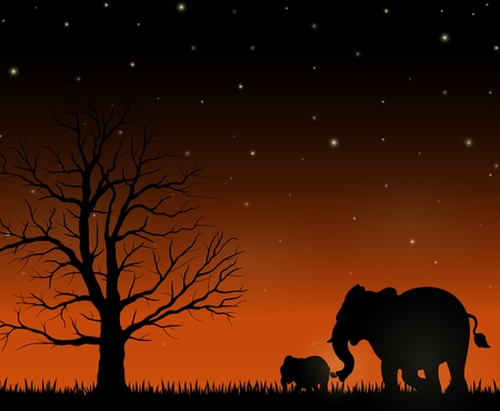 Silhouette of mother and baby elephants on the night backgroundの写真素材