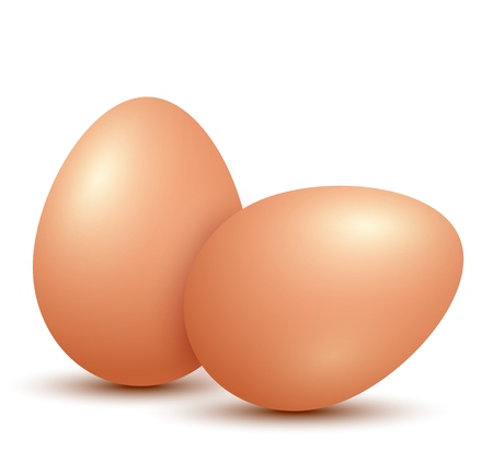 Chicken Eggs on white backgroundのイラスト素材