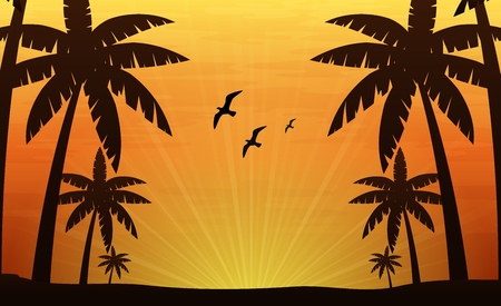 Landscape background with palm trees at tropical beachの写真素材
