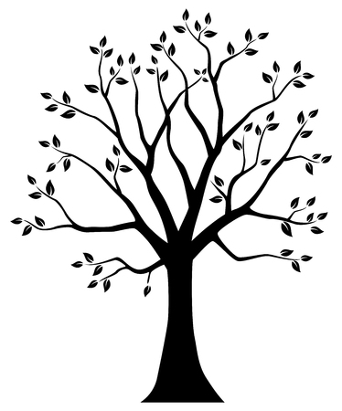 Tree silhouetteの写真素材