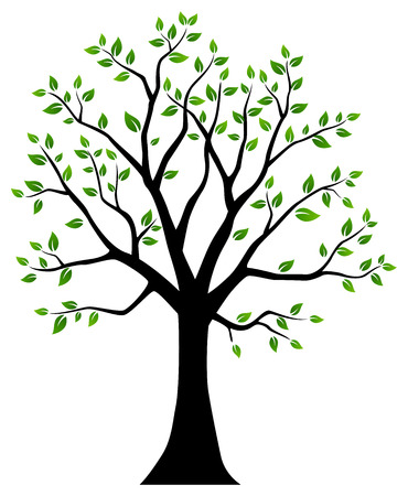Tree with green leavesの写真素材