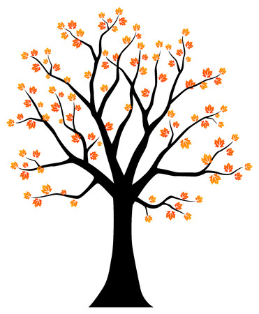 Autumn treeの写真素材