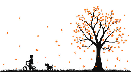 A boy rides a bicycle in the autumn parkの写真素材