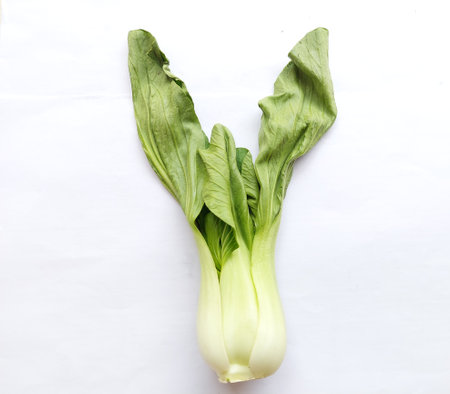 Mustard greens or Pakcoy leaves look wilted because they are cold and moist ready to be cooked, on a white backgroundの写真素材