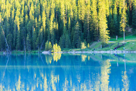 aqua effectの写真素材