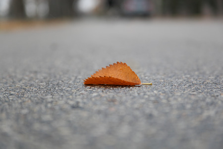 Falls, alongの写真素材