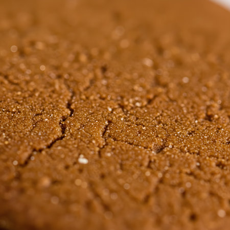Close up of chocolate biscuit texture background. Macro shot of sweet cookie.の素材
