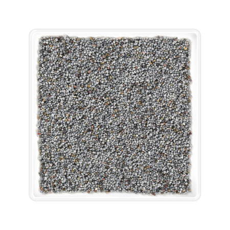 Poppy seeds in square bowl on white backgroundの写真素材