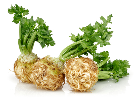 Fresh celery stalks and celeriac isolated on white background. Studio shot.