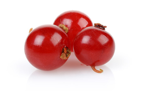 Red Currant close up isolated on white backgroundの写真素材
