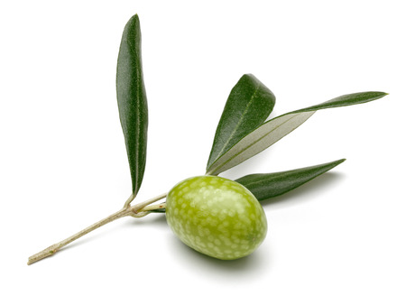 Green olive and leaves isolated on white background