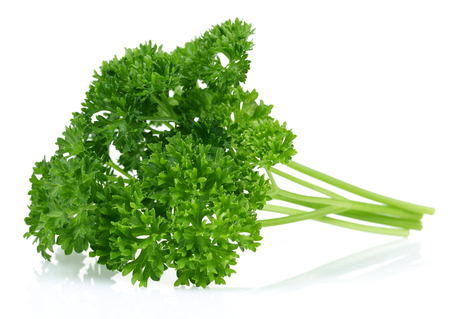 Fresh parsley isolated on white backgroundの写真素材